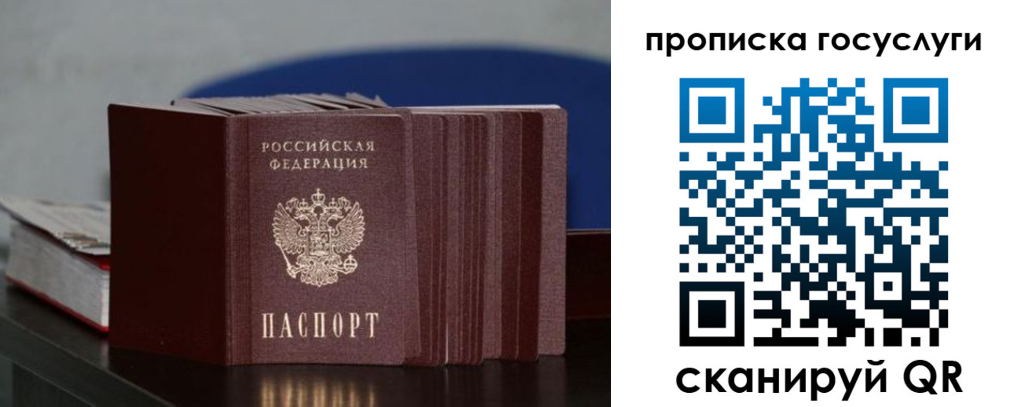 купить прописку в Звенигово